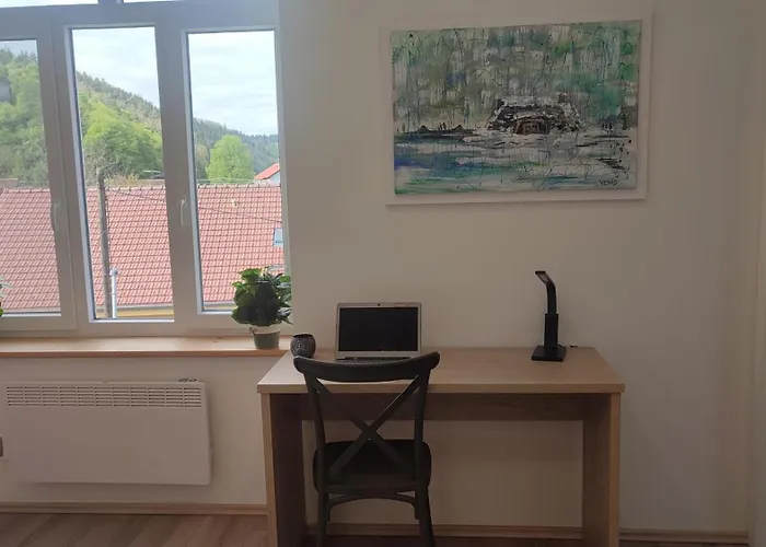 Frejstejn House, Artist's 3*
